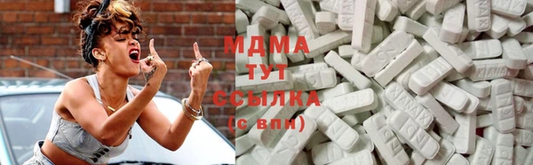 spice Богородицк