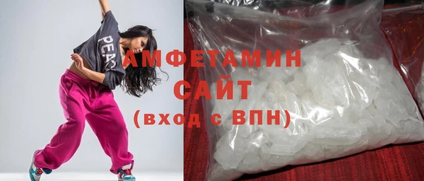 spice Богородицк