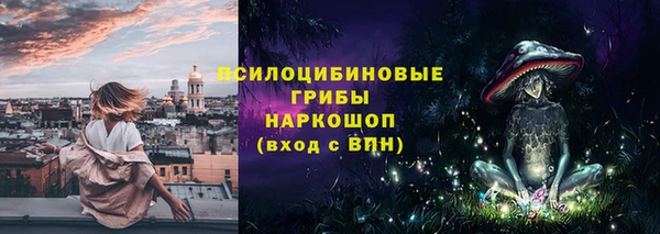 spice Богородицк